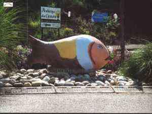 le poisson de Zillisheim